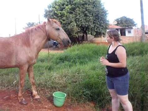 mulheres fazem sexo com cavalos